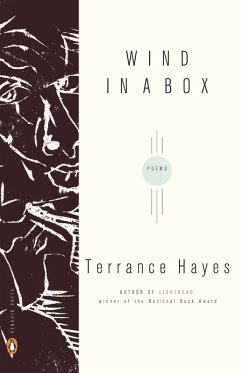 Wind in a Box (eBook, ePUB) - Hayes, Terrance