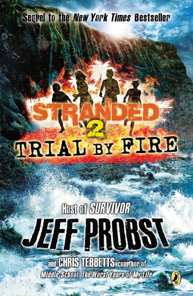 Trial by Fire (eBook, ePUB)