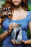 The Waiting Sky (eBook, ePUB)