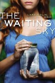 The Waiting Sky (eBook, ePUB) The Waiting Sky (eBook, ePUB)