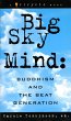 Big Sky Mind (eBook, ePUB) - Bild 1
