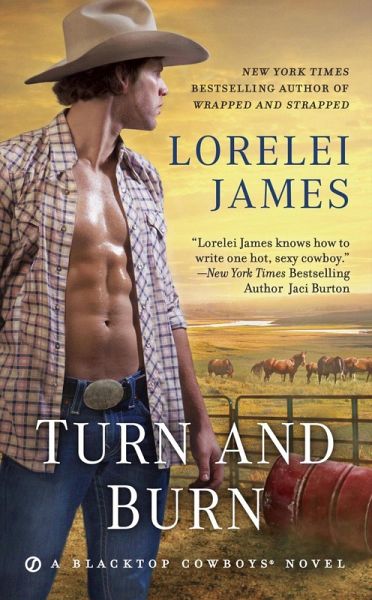 Turn and Burn (eBook, ePUB)
