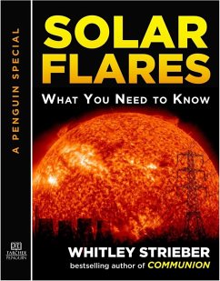 Cover Solar Flares (eBook, ePUB)