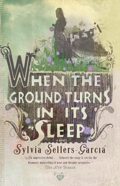 Cover When the Ground Turns in Its Sleep (eBook, ePUB)