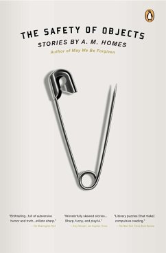 The Safety of Objects (eBook, ePUB) - Homes, A. M.