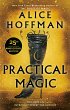 Practical Magic (eBook, ePUB) - Bild 1