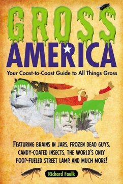 Gross America (eBook, ePUB) - Faulk, Richard