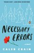 Necessary Errors (eBook, ePUB) - Bild 1