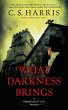 What Darkness Brings (eBook, ePUB) - Bild 1