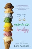 Cure for the Common Breakup (eBook, ePUB)