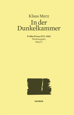 In der Dunkelkammer (eBook, ePUB) - Merz, Klaus