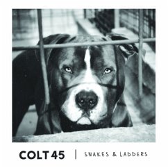 Snakes & Ladders - Colt45