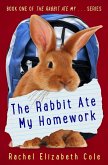 Rabbit Ate My Homework (eBook, ePUB)
