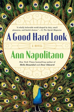 Cover A Good Hard Look (eBook, ePUB)