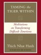 Taming the Tiger Within (eBook, ePUB) - Bild 1