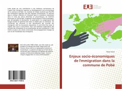 Enjeux socio-économiques de l'mmigration dans la commune de Pobè - Aroni, Raoul