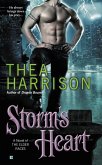 Storm's Heart (eBook, ePUB)