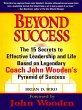 Beyond Success (eBook, ePUB) - Bild 1