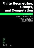 Finite Geometries, Groups, and Computation (eBook, PDF)