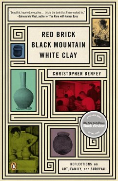 Red Brick, Black Mountain, White Clay (eBook, ePUB) - Benfey, Christopher