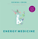 The Little Book of Energy Medicine (eBook, ePUB)