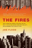 The Fires (eBook, ePUB)