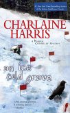 An Ice Cold Grave (eBook, ePUB)