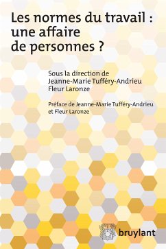 Les normes du travail : Une affaire de personnes? (eBook, ePUB)