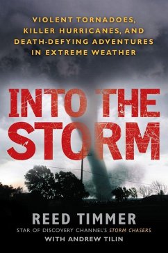 Cover Into the Storm (eBook, ePUB)