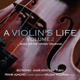 A Violin'S Life Vol.2