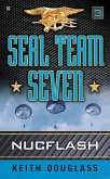 Seal Team Seven 03: Nucflash (eBook, ePUB)