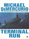 Terminal Run (eBook, ePUB)