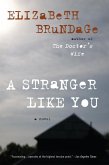 A Stranger Like You (eBook, ePUB)