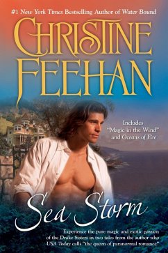 Cover Sea Storm (eBook, ePUB)