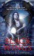 Black Wings (eBook, ePUB) - Bild 1