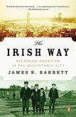The Irish Way (eBook, ePUB)