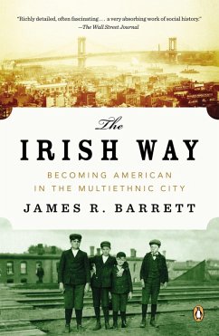 The Irish Way (eBook, ePUB) - Barrett, James R.