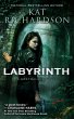 Labyrinth (eBook, ePUB) - Bild 1