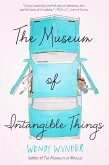 The Museum of Intangible Things (eBook, ePUB)