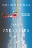 The Underside of Joy (eBook, ePUB) The Underside of Joy (eBook, ePUB)
