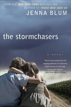 The Stormchasers (eBook, ePUB) - Blum, Jenna