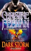 Dark Storm (eBook, ePUB) Dark Storm (eBook, ePUB)