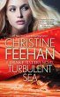 Turbulent Sea (eBook, ePUB) - Bild 1