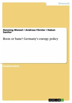 Boon or bane? Germany's energy policy - Wenzel, Henning;Sanlier, Hakan;Förster, Andreas