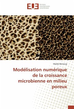 Modélisation numérique de la croissance microbienne en milieu poreux - Benioug, Marbe