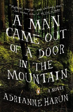 A Man Came Out of a Door in the Mountain (eBook, ePUB) - Harun, Adrianne