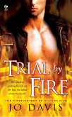 Trial By Fire (eBook, ePUB)
