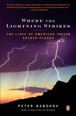 Where the Lightning Strikes (eBook, ePUB)