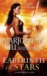 Labyrinth of Stars (eBook, ePUB) - Bild 1