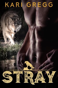 Cover Stray (eBook, ePUB)